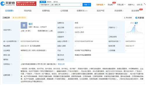 信息系統集成服務 數字化轉型的關鍵驅動力